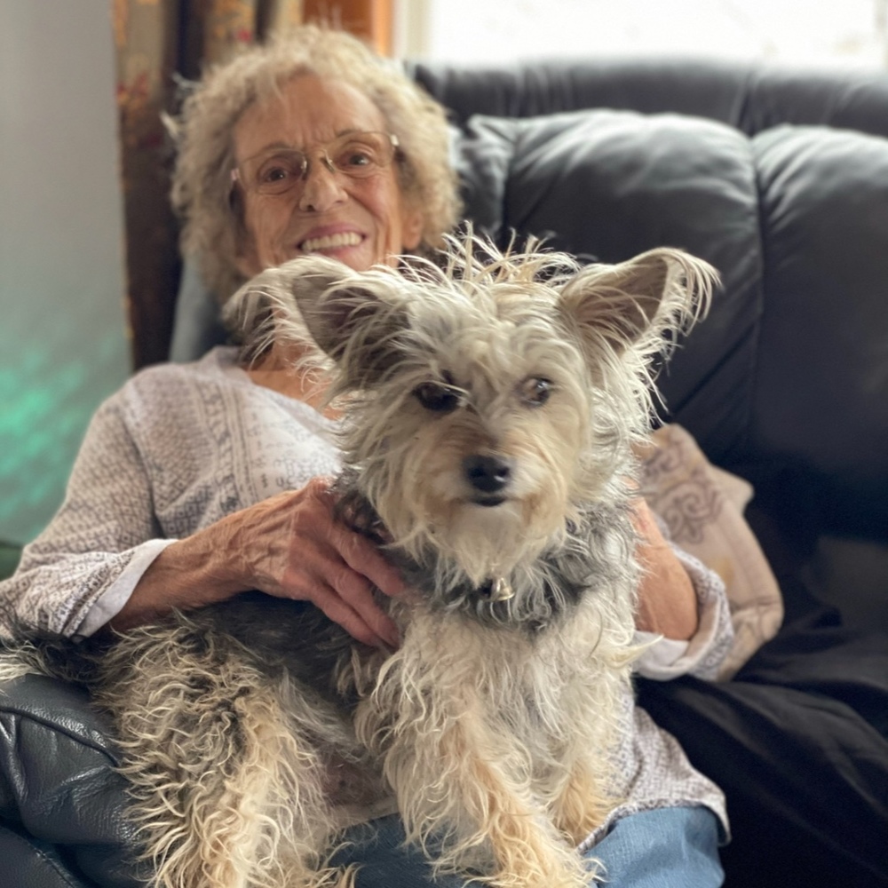 Meet your Posher, Gail